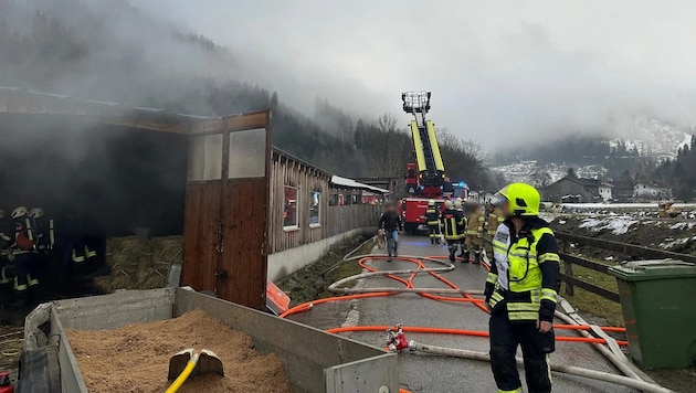 Fast 90 Feuerwehrleute befanden sich vor Ort. (Bild: FF Wenns, Krone KREATIV)