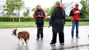 Das „Wiener Hunde-Team“ zieht ein Jahr nach seiner Gründung langsam die Samthandschuhe aus. (Bild: Stadt Wien/Martin VOTAVA)