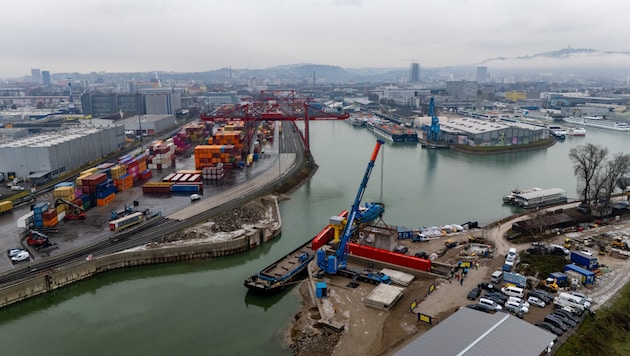 The steel giant was lifted into place in the port of Linz on Wednesday morning. (Bild: TEAM FOTOKERSCHI / WERNER KERSCHBAUMMAYR)