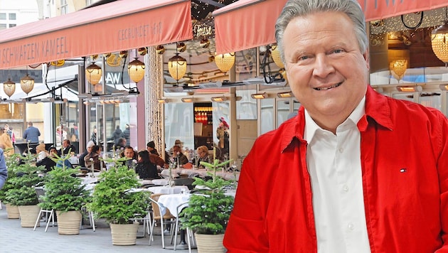 This garden in the city center also serves guests in winter. This is not the case everywhere. (Bild: Krone KREATIV/Reinhard Holl, Zwefo)