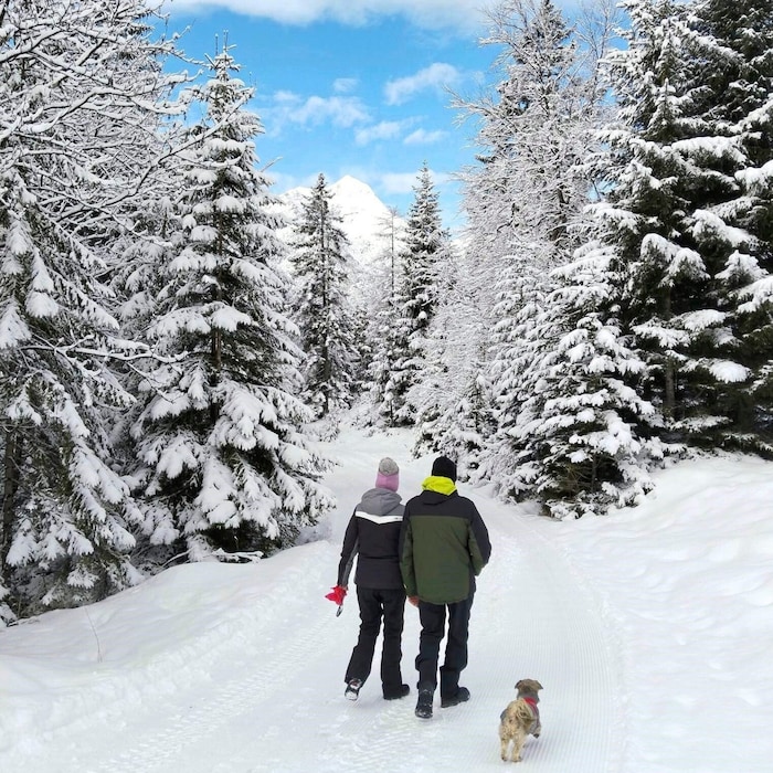 Die Route verläuft derzeit durch ein Winterwunderland.