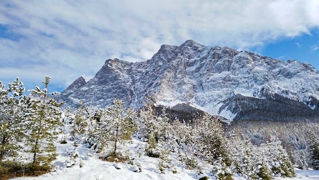 Das Tiroler Zugspitzmassiv ragt oberhalb der Gamsalm empor. (Bild: Peter Freiberger)