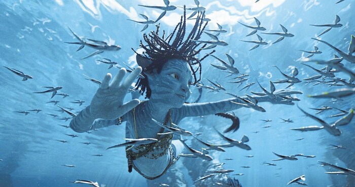 Unverwechselbar und Magnet fürs Kinopublikum: das „Avatar“-Universum.