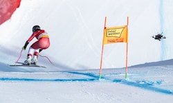 Stephanie Venier