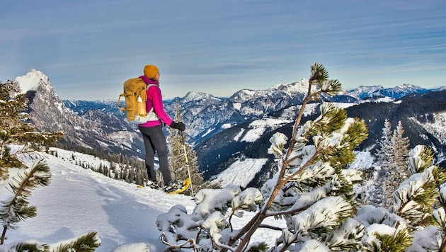 Blick in das Tal der Radmer und auf das „steirische Matterhorn“ (ganz links im Bild). (Bild: Weges)