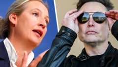 AfD-Chefin Alice Weidel und Elon Musk (Bild: Krone KREATIV/APA 2x)