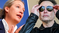 AfD-Chefin Alice Weidel und Elon Musk diskutieren ab 19 Uhr auf X miteinander. (Bild: Krone KREATIV/APA 2x)