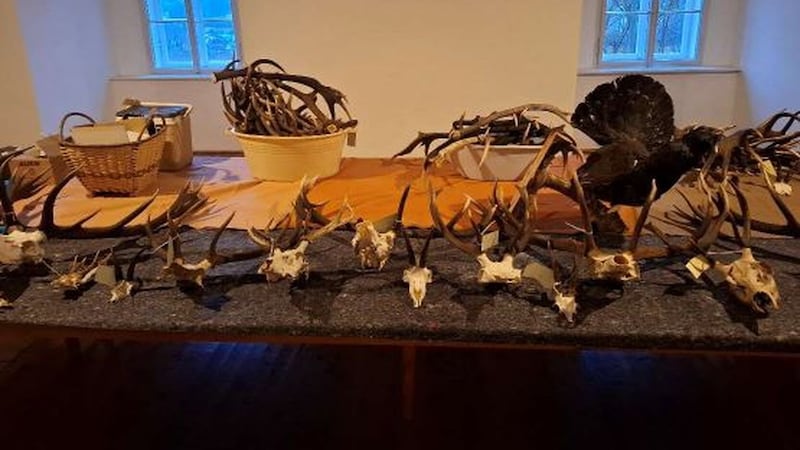 The seized hunting trophies (Bild: LPD)