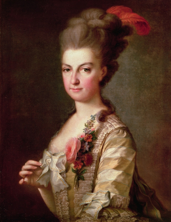 Erzherzogin Maria Christina (1742-1798) lebte ebenfalls in der Albertina.