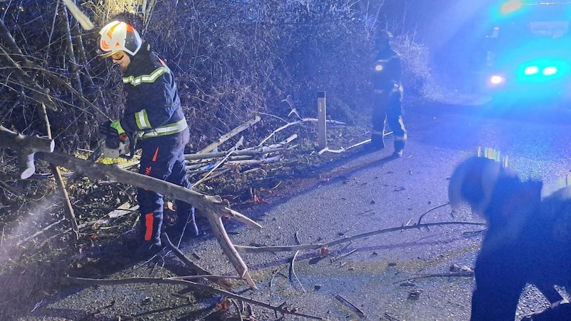 The fire departments had to be called out several times during the night to Friday due to "Charly". (Bild: Stadt Wien I Feuerwehr)