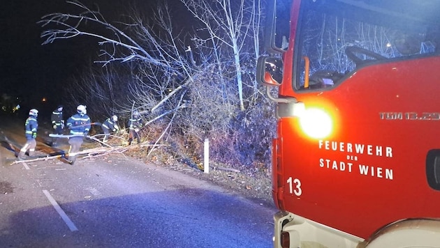 Storm "Charly" caused a turbulent night, with gusts of over 100 km/h even being measured in Vienna's city center. (Bild: Stadt Wien | Feuerwehr )