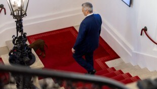 Als Kanzler die Treppen hinauf, als Karl die Treppen hinunter: Nehammer nach der Amtsübergabe am ...