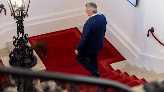 Up the stairs as Chancellor, down the stairs as Karl: Nehammer after the handover of office on Friday. (Bild: Andy Wenzel)