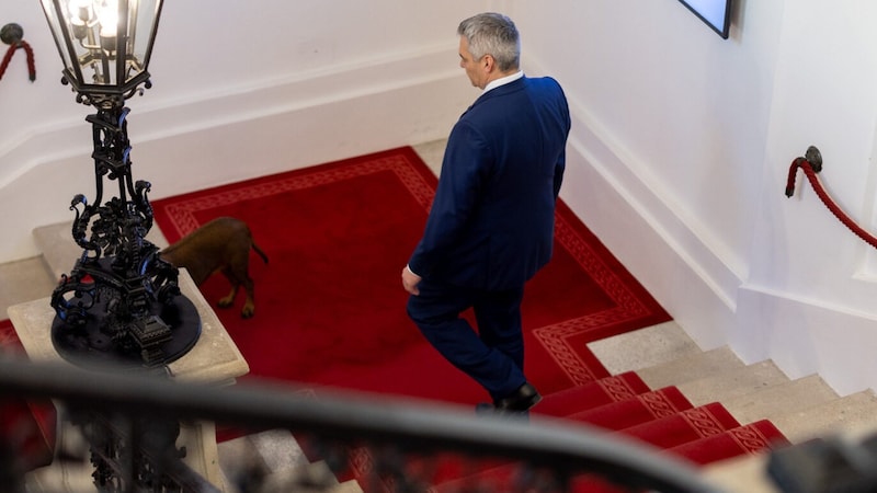 Als Kanzler die Treppen hinauf, als Karl die Treppen hinunter: Nehammer nach der Amtsübergabe am Freitag. (Bild: Andy Wenzel)