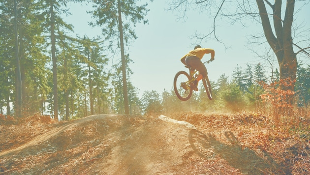 Whether acrobatic or leisurely - cycling tours are in demand. (Bild: Burgenland Tourismus_Oliver Gast)