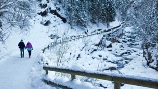 Etwa ein Kilometer des Talbachs soll samt angrenzenden Hangbereichen zum Naturdenkmal deklariert ...