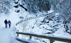 Etwa ein Kilometer des Talbachs soll samt angrenzenden Hangbereichen zum Naturdenkmal deklariert ...
