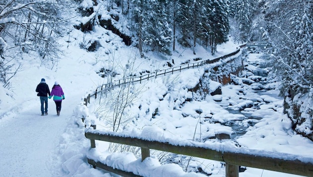Etwa ein Kilometer des Talbachs soll samt angrenzenden Hangbereichen zum Naturdenkmal deklariert ...