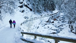 Etwa ein Kilometer des Talbachs soll samt angrenzenden Hangbereichen zum Naturdenkmal deklariert ...