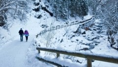 Der Weg durch die Talbachklamm ist einer der am stärksten frequentierten Wanderwege der Region – im Sommer wie im Winter. (Bild: Reinhard Lamm)