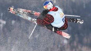 Matej Svancer