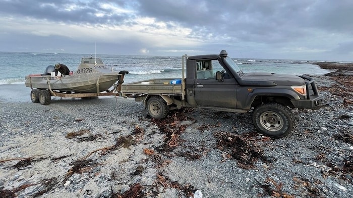 Ein Strand auf den Chathaminseln