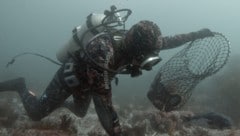 Der Taucher Jade Kahukore-Dixon wurde von einem Weißen Hai getötet. (Bild: ZDF/Brian Dentz, Toby Marshall)