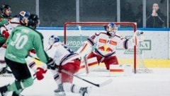 Froze many pucks: the strong Bulls goalie Atte Tolvanen. (Bild: 2025 EC Red Bull Salzburg)