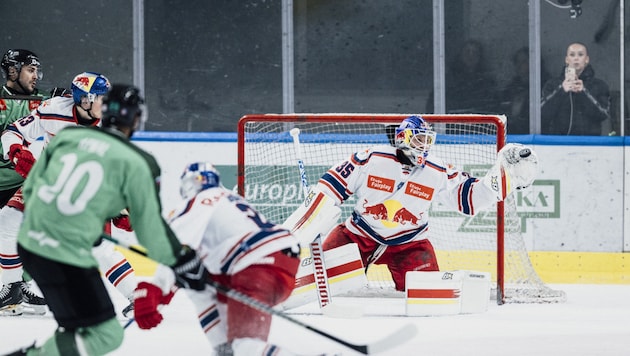 Fror viele Pucks ein: der starke Bulls-Goalie Atte Tolvanen. (Bild: 2025 EC Red Bull Salzburg)