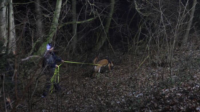 Auch mit Hunden wurde nach dem Abgängigen gesucht