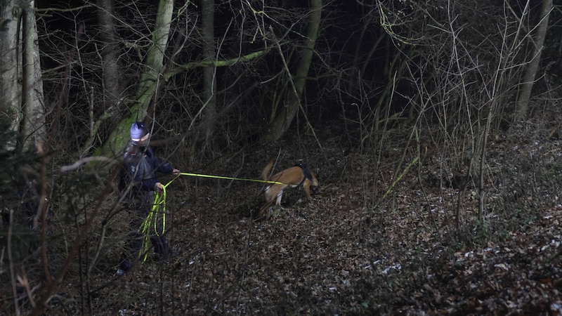 Auch mit Hunden wurde nach dem Abgängigen gesucht (Bild: laumat)