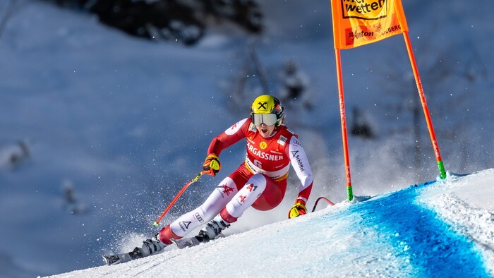 Nina Ortlieb
