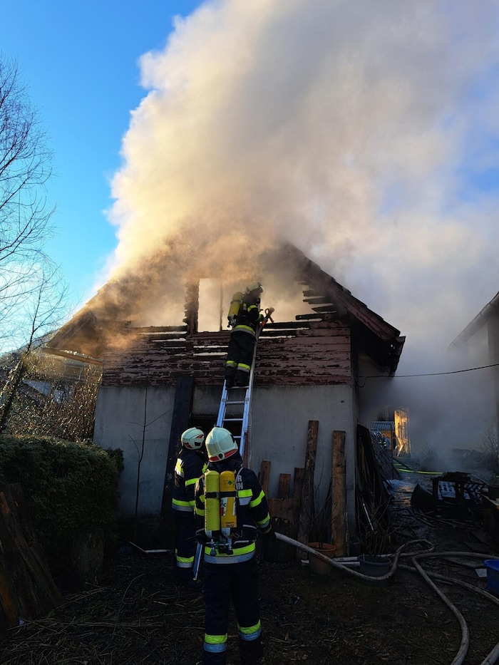Unter schwerem Atemschutz konnten die Feuerwehrleute die Tiere aus dem Gebäude befreien.