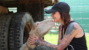 Immer wieder ist Sandy Peng ganz vorne mit dabei, wenn der VGT österreichweit Skandale in der Tierhaltung oder bei Tiertransporten aufzeigt. (Bild: Pferdegnadenhof Edelweiss)