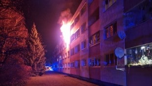 In den frühen Morgenstunden wurden am Samstag die Freiwilligen Feuerwehren Maria Enzersdorf und ...