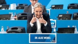 AfD-Vorsitzende Alice Weidel (Bild: APA Pool/dpa/Sebastian Kahnert)