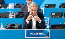 Alice Weidel wird als AfD-Spitzenkandidatin in den Bundestagswahlkampf gehen.