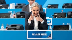 Alice Weidel wird als AfD-Spitzenkandidatin in den Bundestagswahlkampf gehen. (Bild: APA Pool/dpa/Sebastian Kahnert)