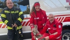 Four-legged friend "Faunus" and the responsible rescue team discovered the resident in a wooded area, hypothermic but in good health. (Bild: Rotes Kreuz NÖ)