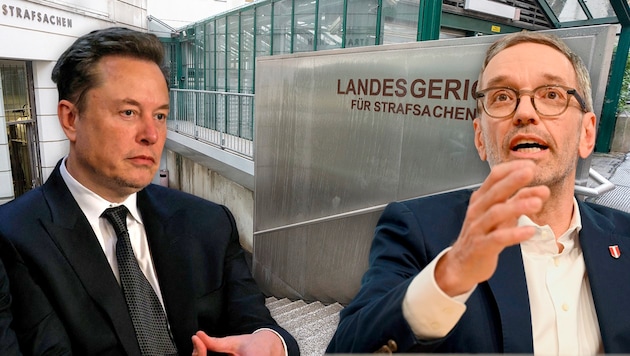 The verdict in the Anna case not only caused great outrage in Austria, but also reached Elon Musk. "This is crazy" wrote the richest man in the world on X. FPÖ leader Herbert Kickl has now also responded to his post. (Bild: Krone KREATIV/APA AFP AP)