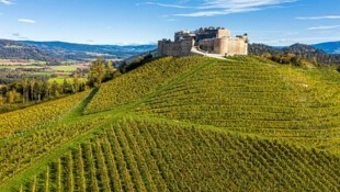 Das Weingut Taggenbrunn ist eines von fünf Winzer Stationen bei der ersten Weintour am Längsee ...