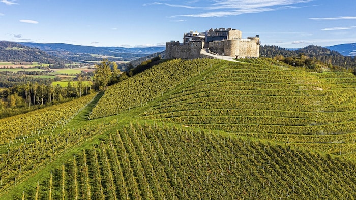 Alfred Riedl's Taggen- brunn wine-growing region is a showcase vineyard and the largest winery ...