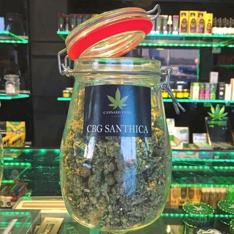 The CBG hemp tops are said to have therapeutic properties. (Bild: Cannabis Store Vienna)