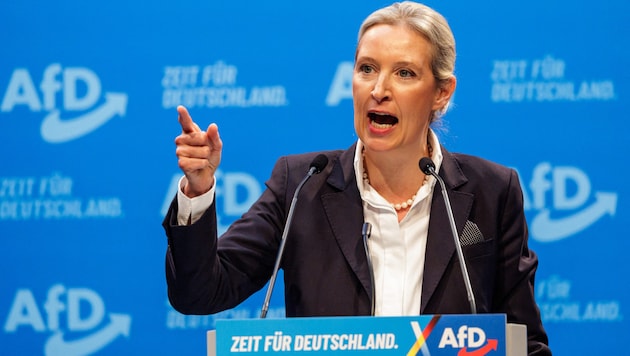 Alice Weidel will be the AfD's lead candidate in the Bundestag election campaign. (Bild: AFP)