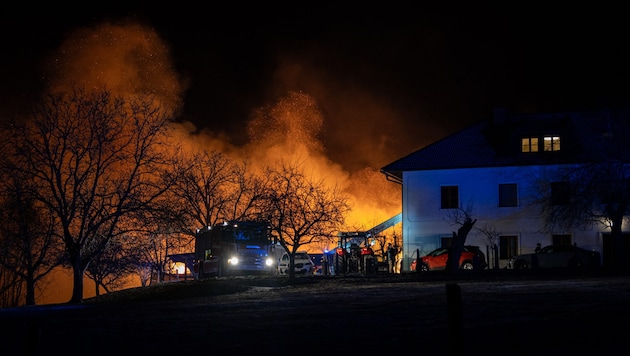 Die Flammenwand war mächtig. (Bild: TEAM FOTOKERSCHI.AT / SIMON BRANDSTÄTTER)