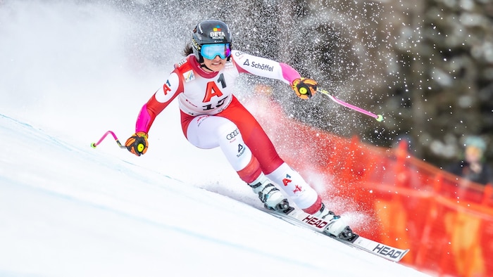 Stephanie Venier