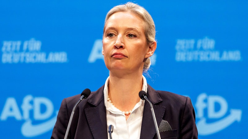 AfD leader Alice Weidel wants to open up her party to the conservative middle class. However, many points in the election manifesto remain radical. (Bild: APA/AFP/JENS SCHLUETER)