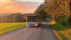 In Niederösterreich fahren die meisten Regionalbusse, aber... (Bild: VOR/Liebhart)