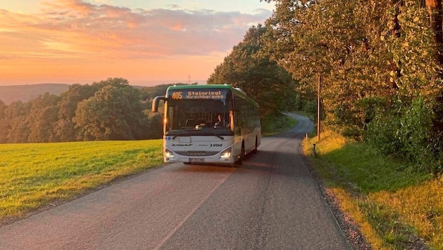 Most regional buses operate in Lower Austria, but... (Bild: VOR/Liebhart)