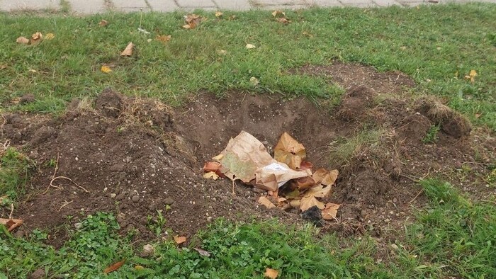 Hier saß einmal eine Pinie. Sie wurde ausgegraben und mitgenommen. 